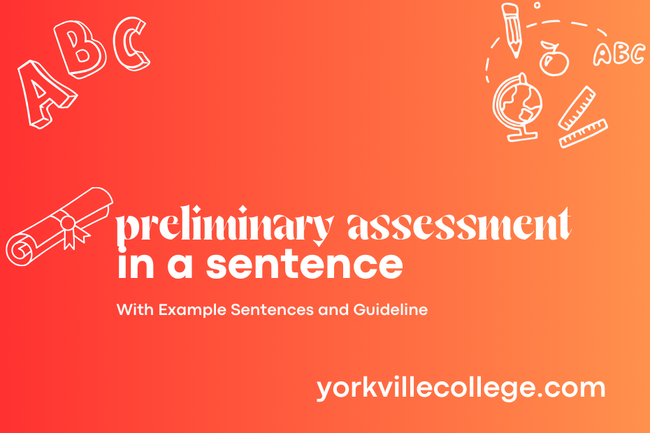 preliminary assessment in a sentence