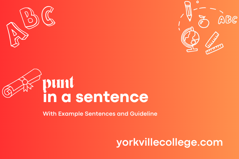 punt in a sentence