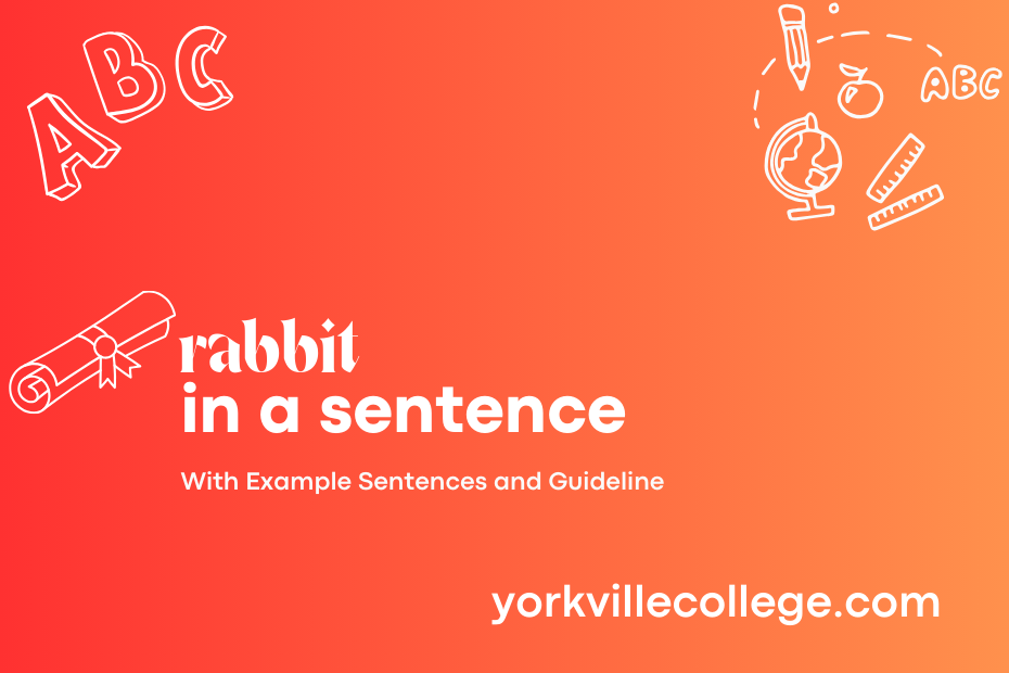 rabbit in a sentence