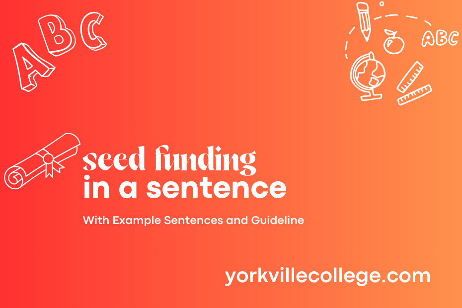 seed funding in a sentence