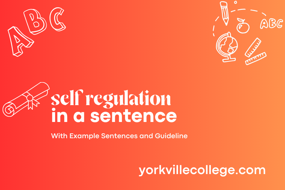 self regulation in a sentence