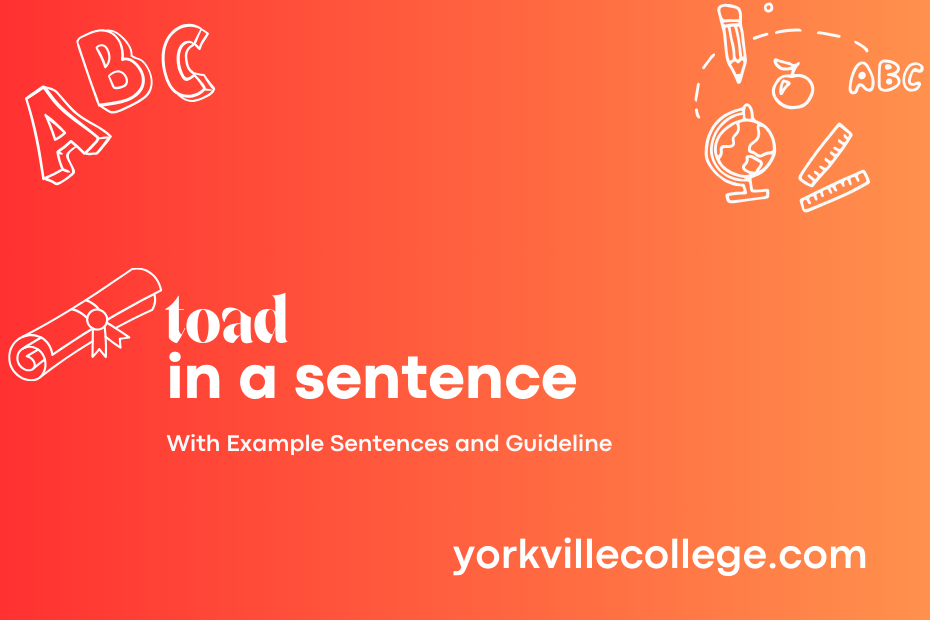 toad in a sentence