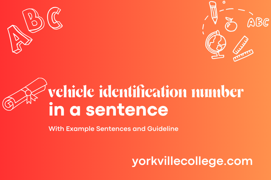 vehicle identification number in a sentence