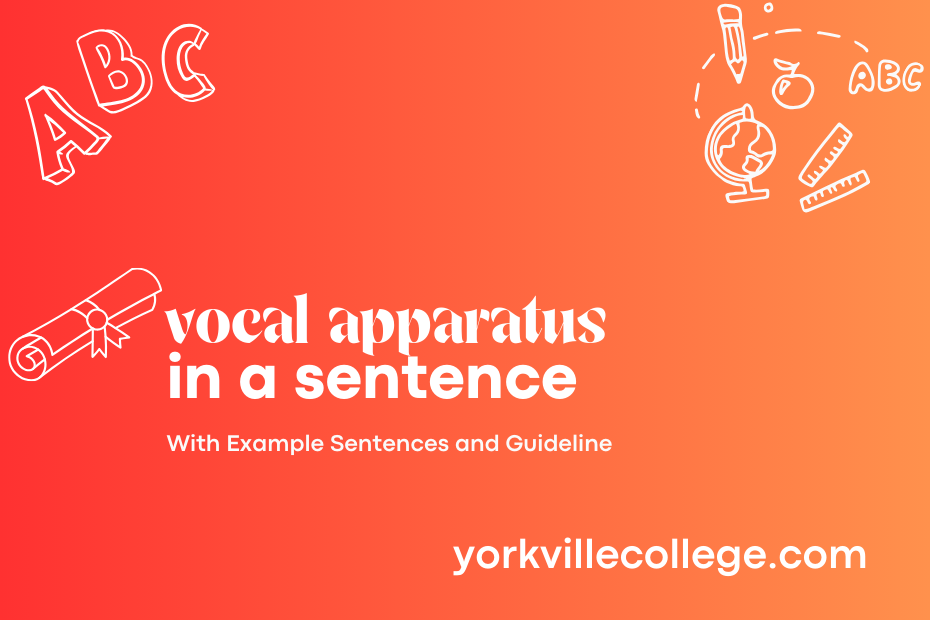 vocal apparatus in a sentence